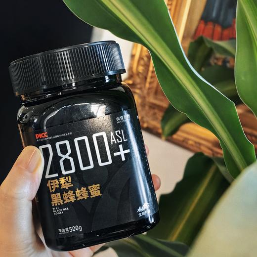 [屁侠推荐]来自新疆的天然好蜜 亩育万物 新疆伊犁黑蜂蜜 500g*2瓶 商品图0