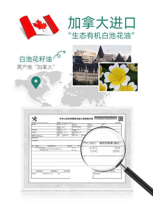 【拍二发三】安茹白池花精华油：高纯精萃细嫩丝滑舒缓抗氧修护屏障保湿抗老敏感肌适用以油养肤！ 商品图2