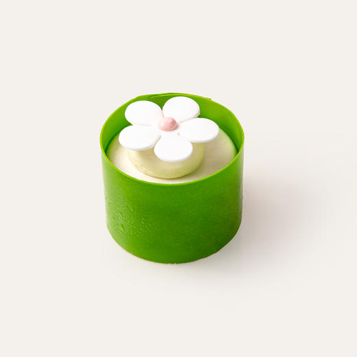 小雏菊 商品图0