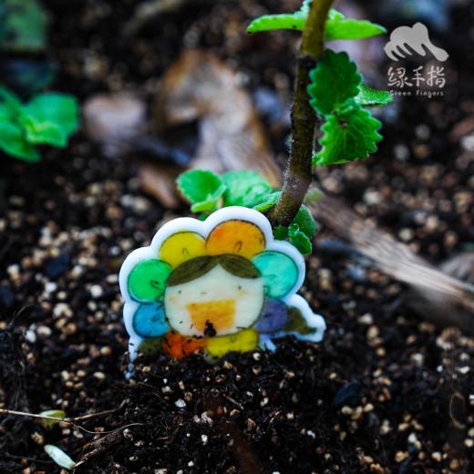 绿手指种子徽章 | 绿家原创*Seed Badge | Original design 商品图1