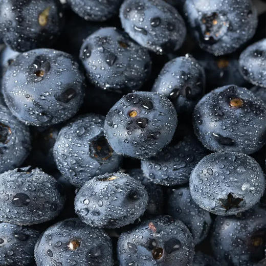 云南花香蓝莓|蓝莓界“天花板”，完胜进口货！甜脆有花香 、野味浓郁 商品图1