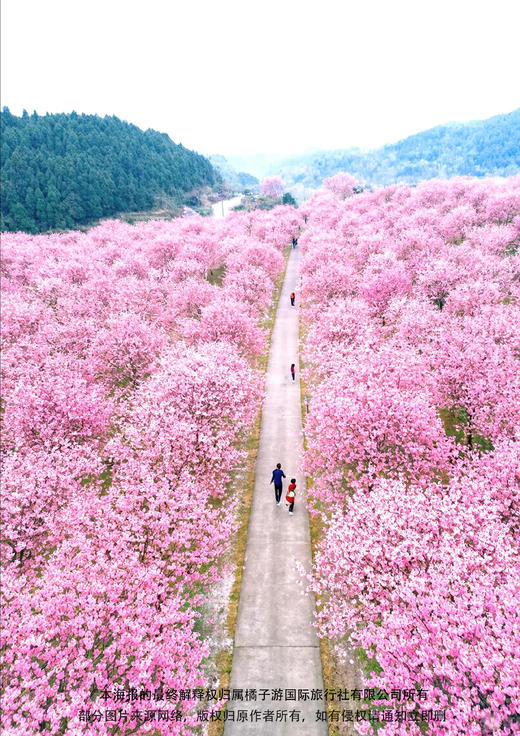 【聚美贵州】双动5天（广州南起止） 商品图2