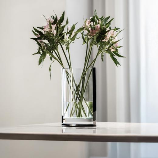 凌缘银边花瓶 RESONG日诵家居 玻璃花器插花饰品 商品图10