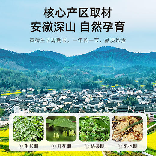 严选 | 杞里香黄精200g*2罐 优选九华山地道产地 5年足龄即食黄精 商品图3