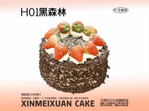 H01黑森林 商品图0