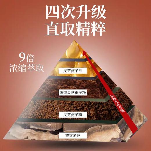 敖东灵芝孢子油软胶囊增强免疫力提破壁灵芝孢子粉官方正品高含量120粒 商品图5