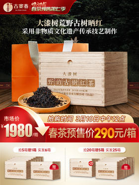 【2025年春茶】【大漆树荒野红茶】云南易武麻黑大漆树1700米高海拔产区古树晒红滇红高端红茶 500克/箱 拍5发6 拍20发25