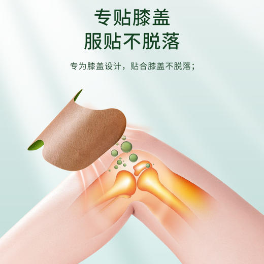 雷允上艾草生姜膝盖贴12贴/盒 商品图3
