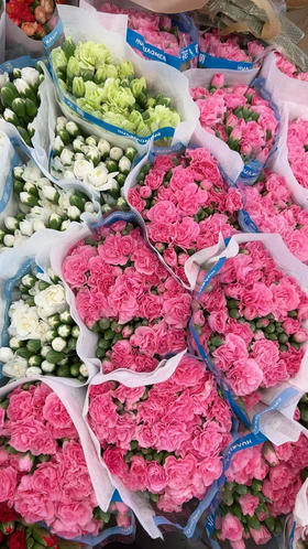 特级康乃馨，颜色太多，大家下单备注！20支/束