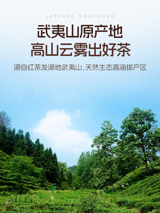 【下单减11.1元】艺福堂正山小种80g/罐特级（氮气罐/T） 商品图3