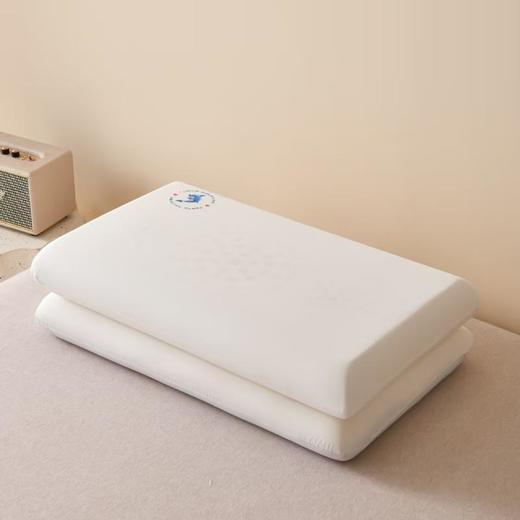 AB海豚零压枕 48*74cm/个 商品图1