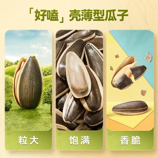 洽洽原味香瓜子 142g/袋 商品图2