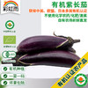 全国发货满额包邮 有机蔬菜 紫长茄子400g欧盟认证 彩虹雨农场 商品缩略图0