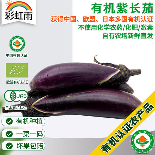 全国发货满额包邮 有机蔬菜 紫长茄子400g欧盟认证 彩虹雨农场 商品图0