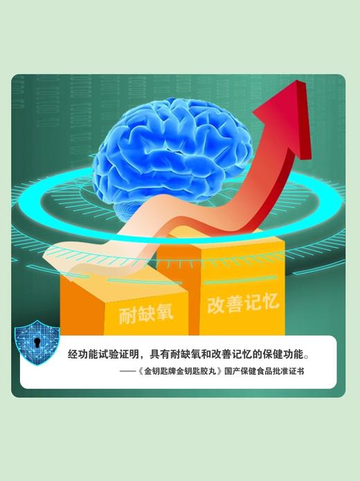 金钥匙 耐缺氧 备战中高考学生补脑鱼油 商品图3