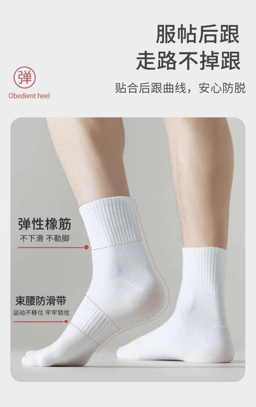 百搭精梳棉中筒袜MC7027 商品图3