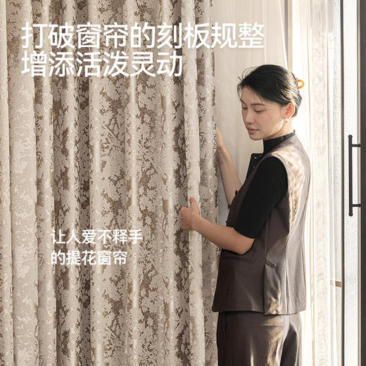 【奢美】金蝉重磅雪尼尔设计感窗帘 商品图2