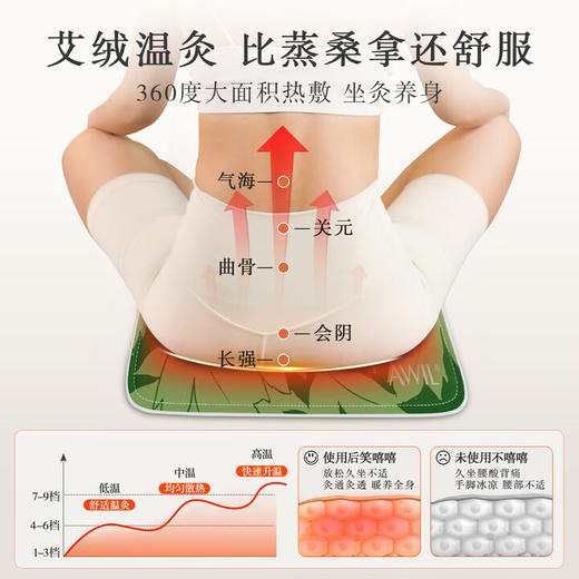 艾修堂  热敷坐垫C1Pro  AP-C1pro 商品图1