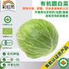 彩虹雨农场 新鲜有机蔬菜圆白菜500g欧盟认证 全国发货满额包邮 商品缩略图0
