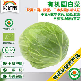 彩虹雨农场 新鲜有机蔬菜圆白菜500g欧盟认证 全国发货满额包邮