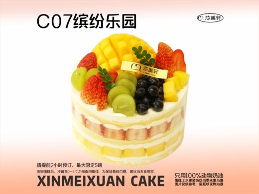 C07缤纷乐园 商品图0