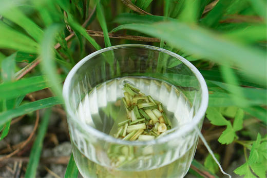 旗溪农场·玫瑰洛神花茶·香茅姜茶·野姜花红茶·人参黄精茶 商品图0