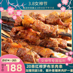 新疆尉黎鲜红柳罗布羊肉串