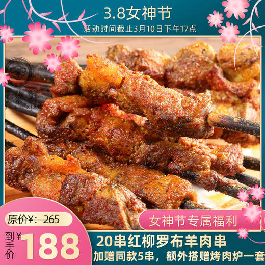 新疆尉黎鲜红柳罗布羊肉串 商品图0