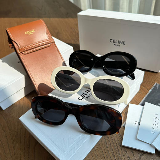 Celine凯旋门墨镜太阳镜 商品图0