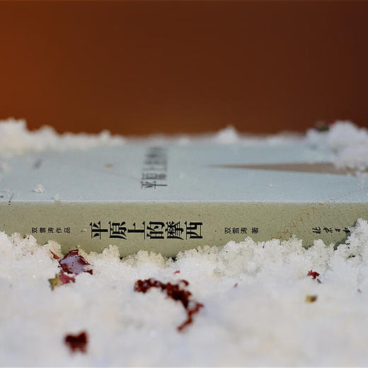 平原上的摩西 双雪涛 著 商品图5