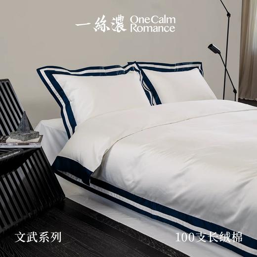 一丝浓文武系列100支长绒棉奢华现代四件套 商品图0