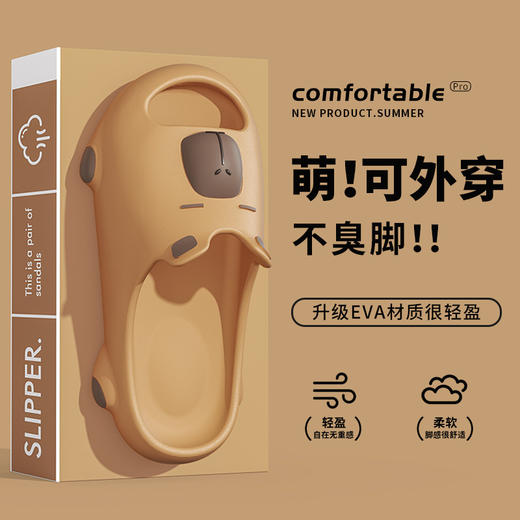 【YW】无忧购情侣拖鞋卡皮巴拉潮流厚底防滑(截单后7天发货) 商品图3