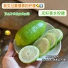 【分仓直发包邮】子弹头香水柠檬1斤（单果：60-200克， 每斤5-7个） 商品缩略图0