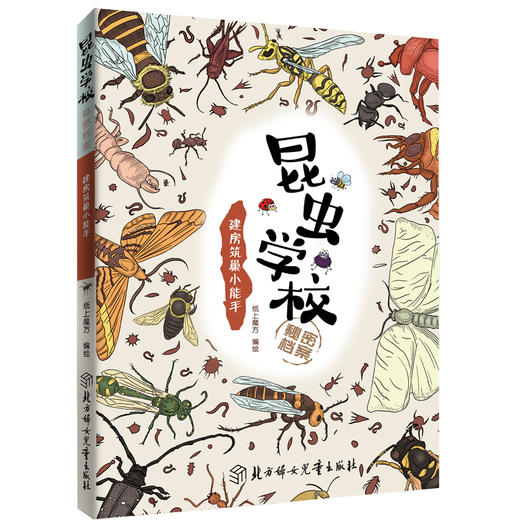 《昆虫学校秘密档案》全套8册 小学推荐阅读 商品图4