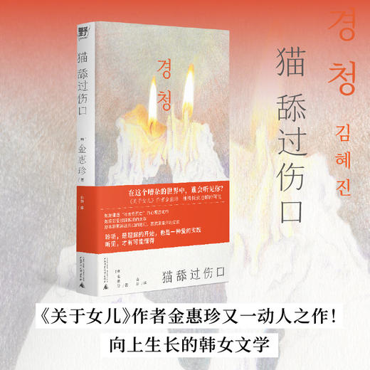 猫舔过伤口 | 《关于女儿》作者又一动人之作！向上生长的韩女文学！ 商品图0