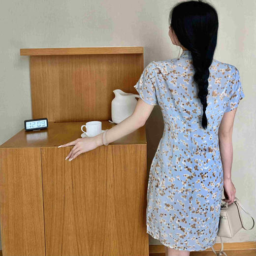 顺丰包邮洛诗琳20107气质新中式连衣裙2025新款真丝印花裙子0999 商品图4