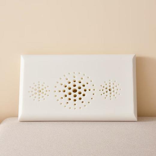AB海豚零压枕 48*74cm/个 商品图0