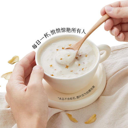 燕之坊 茯苓百合粉500g 商品图3