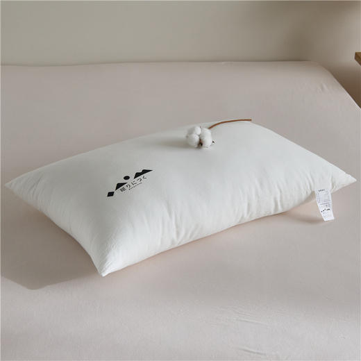 自然醒A类全棉色织水洗枕头枕芯助睡眠护颈椎成人家用一对装酒店专用整头套男学生宿舍XK 商品图12
