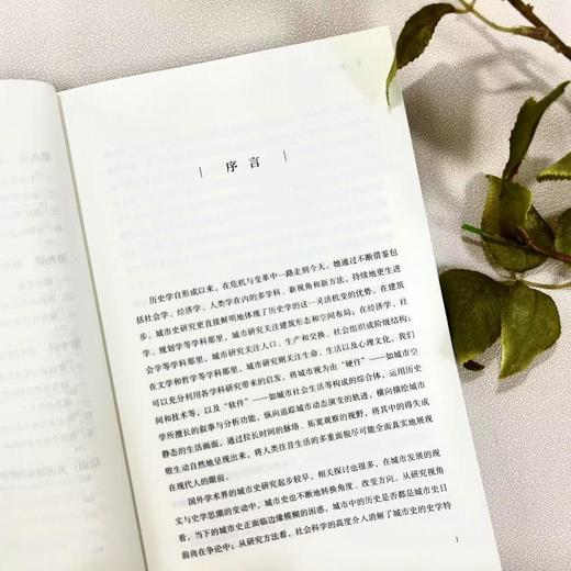 美国城市史研究入门 商品图3