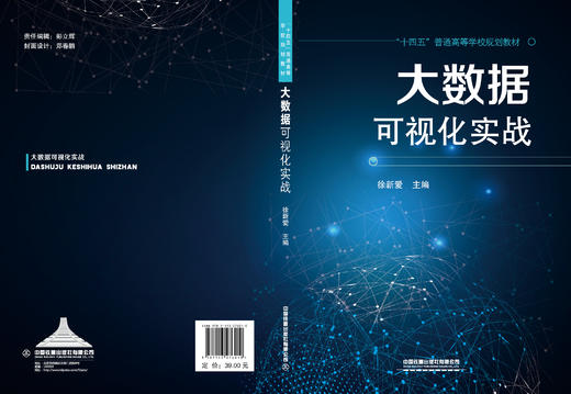 276010 大数据可视化实战 商品图1