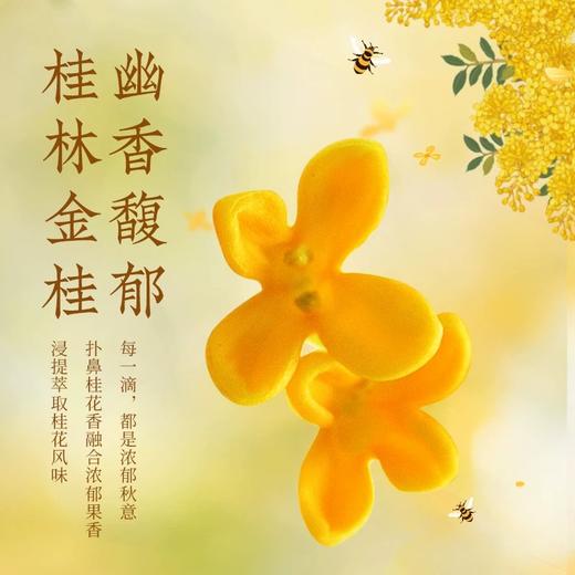 梅见 12度金桂梅酒 750ml/盒 商品图2