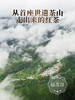 荔枝味红茶【妃子笑】2024年云南普洱茶区景迈古树晒红 传统工艺发酵 200g/饼 商品缩略图1