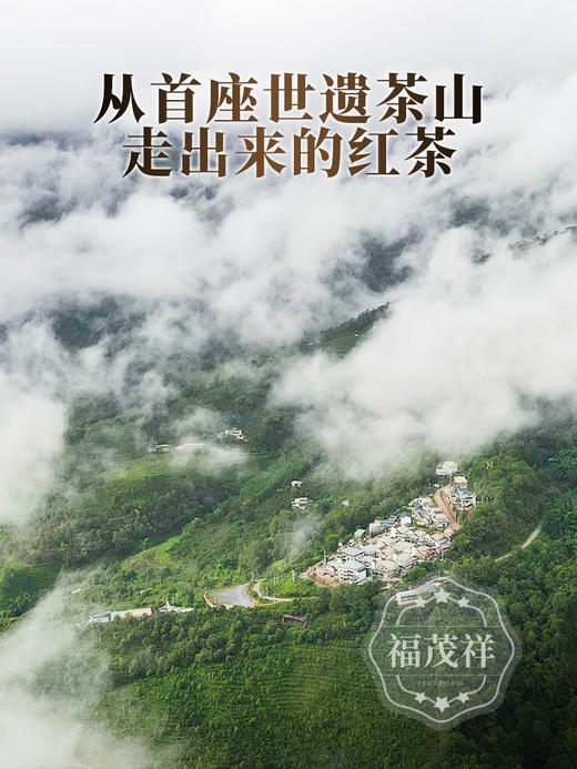 荔枝味红茶【妃子笑】2024年云南普洱茶区景迈古树晒红 传统工艺发酵 200g/饼 商品图1