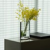 凌缘银边花瓶 RESONG日诵家居 玻璃花器插花饰品 商品缩略图1