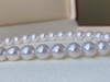 7mm-8mm akoya珍珠项链 商品缩略图3