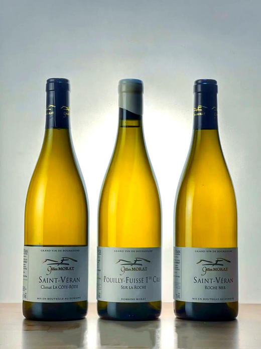 莫尔特酒庄-普依-富塞一级洛奇园干白2022【1.5L】 POUILLY-FUISSÉ Premier Cru Climat SUR LA ROCHE,DOMAINE GILLES MORAT 商品图2