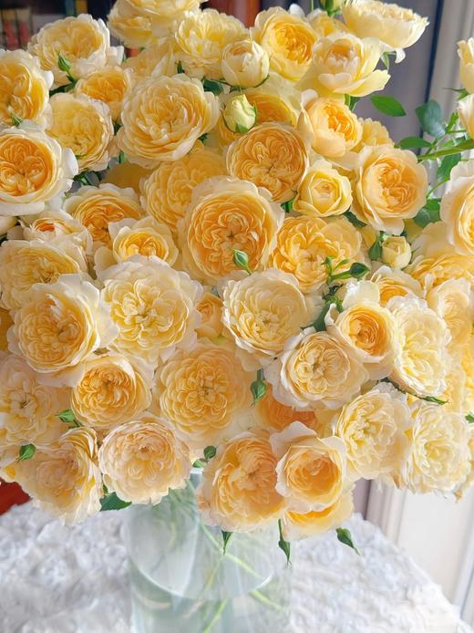 网红爆品花材蜜柚果汁多头玫瑰花10支 商品图2