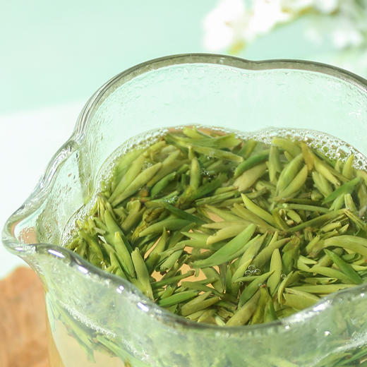 2025早春雀舌 早春嫩芽特级雀舌颗颗肥实250g 商品图1