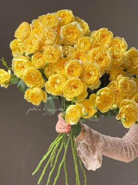 同城甄选果汁阳台系列杨桃多头玫瑰花10支